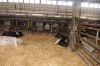 Agrargenossenschaft-Milchquelle-Stuedenitz-eG-130809-DSC_0080.JPG