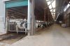 Agrargenossenschaft-Milchquelle-Stuedenitz-eG-130809-DSC_0228.JPG