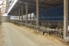 Agrargenossenschaft-Milchquelle-Stuedenitz-eG-130809-DSC_0235.JPG